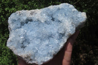 Natural Celestite Plate Specimen x 1 From Sakoany, Madagascar