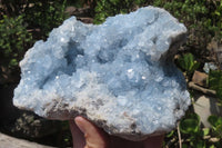 Natural Celestite Plate Specimen x 1 From Sakoany, Madagascar