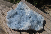 Natural Celestite Plate Specimen x 1 From Sakoany, Madagascar