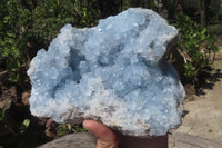 Natural Celestite Plate Specimen x 1 From Sakoany, Madagascar