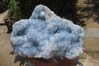 Natural Celestite Plate Specimen x 1 From Sakoany, Madagascar