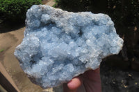 Natural Celestite Plate Specimen x 1 From Sakoany, Madagascar