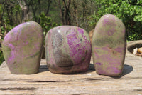 Polished Stichtite Standing Free Forms x 3 From Barberton, South Africa