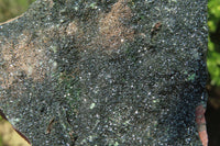 Natural Libethenite Crystals On Dolomite Matrix Specimens x 2 From Shituru, Congo