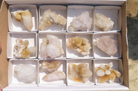 Natural Limonite Spirit Quartz Clusters x 13 From Boekenhouthoek, South Africa