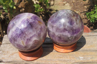 Polished Chevron Amethyst Spheres x 2 From Madagascar