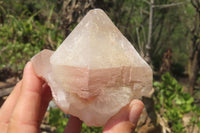 Natural Red Hematoid Quartz Crystals x 12 From Madagascar