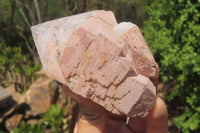 Natural Red Hematoid Quartz Crystals x 12 From Madagascar