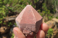 Natural Red Hematoid Quartz Crystals x 12 From Madagascar