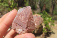 Natural Red Hematoid Quartz Crystals x 12 From Madagascar