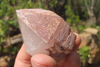 Natural Red Hematoid Quartz Crystals x 12 From Madagascar