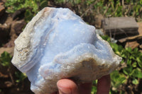 Natural Blue Lace Agate Geode Specimens x 14 From Nsanje, Malawi