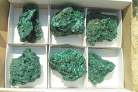 Natural Silky Malachite Specimens x 6 From Kasompe, Congo