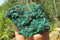 Natural Silky Malachite Specimens x 6 From Kasompe, Congo