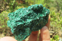 Natural Silky Malachite Specimens x 6 From Kasompe, Congo