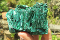 Natural Silky Malachite Specimens x 6 From Kasompe, Congo