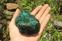 Natural Silky Malachite Specimens x 6 From Kasompe, Congo