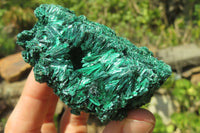 Natural Silky Malachite Specimens x 6 From Kasompe, Congo