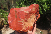 Natural Red Jasper Specimens x 2 From Northern Cape, South Africa