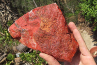 Natural Red Jasper Specimens x 2 From Northern Cape, South Africa