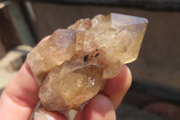 Natural Cascading Citrine Crystals x 13 From Luena, Congo