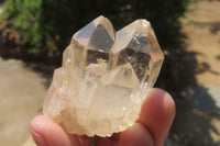 Natural Cascading Citrine Crystals x 13 From Luena, Congo