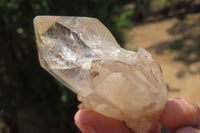 Natural Cascading Citrine Crystals x 13 From Luena, Congo