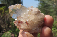 Natural Cascading Citrine Crystals x 13 From Luena, Congo