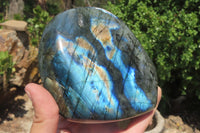 Polished Labradorite Standing Free Form x 1 From Tulear, Madagascar