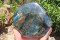 Polished Labradorite Standing Free Form x 1 From Tulear, Madagascar