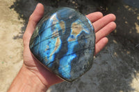 Polished Labradorite Standing Free Form x 1 From Tulear, Madagascar