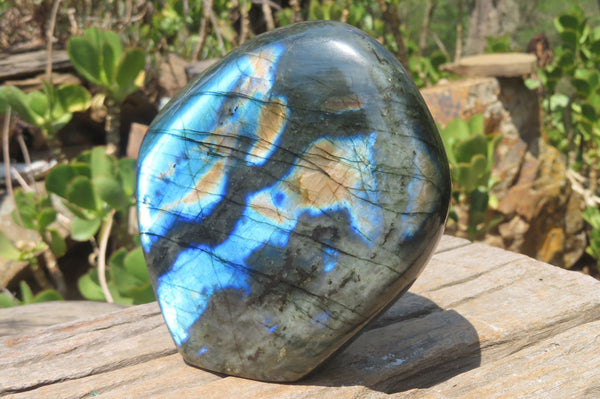 Polished Labradorite Standing Free Form x 1 From Tulear, Madagascar