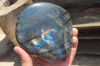 Polished Labradorite Standing Free Form x 1 From Tulear, Madagascar