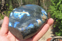 Polished Labradorite Standing Free Form x 1 From Tulear, Madagascar