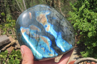 Polished Labradorite Standing Free Form x 1 From Tulear, Madagascar