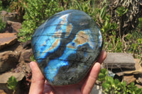 Polished Labradorite Standing Free Form x 1 From Tulear, Madagascar