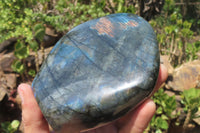 Polished Labradorite Standing Free Form x 1 From Tulear, Madagascar