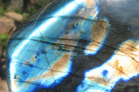 Polished Labradorite Standing Free Form x 1 From Tulear, Madagascar