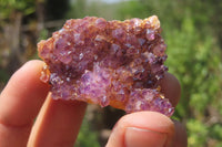 Natural Amethystos Amethyst Specimens x 35 From Kwaggafontein, South Africa