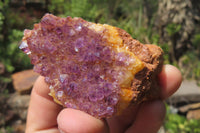 Natural Amethystos Amethyst Specimens x 35 From Kwaggafontein, South Africa