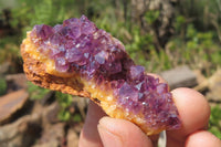 Natural Amethystos Amethyst Specimens x 35 From Kwaggafontein, South Africa