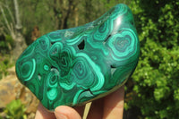 Polished Flower Banded Malachite Free Forms x 2 From Congo