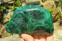 Polished Flower Banded Malachite Free Forms x 2 From Congo