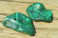 Polished Flower Banded Malachite Free Forms x 2 From Congo