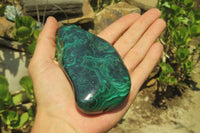 Polished Flower Banded Malachite Free Forms x 2 From Congo