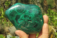 Polished Flower Banded Malachite Free Forms x 2 From Congo