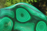 Polished Flower Banded Malachite Free Forms x 2 From Congo