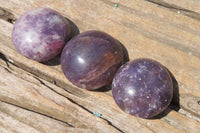 Polished Lepidolite with Pink Rubellite Palm Stones x 24 From Ambatondrazaka, Madagascar