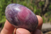 Polished Lepidolite with Pink Rubellite Palm Stones x 24 From Ambatondrazaka, Madagascar