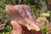 Natural Amethystos Amethyst Plates x 6 From Kwaggafontein, South Africa